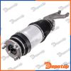 Amortisseur de suspension avant pour TESLA | A-CH-145, 58-50-0007